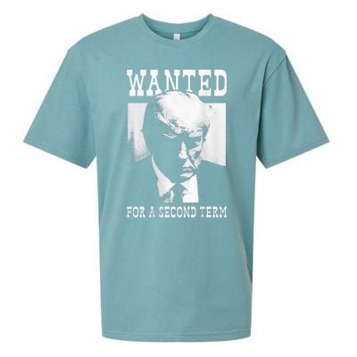 Trump Mugshot Wanted For Second Term 2024 Sueded Cloud Jersey T-Shirt