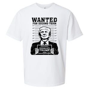 Trump Mugshot Wanted For Second Term 2024 Sueded Cloud Jersey T-Shirt