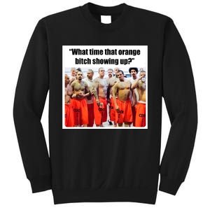 Trump Mugshot What Time That Orange Bitch Showing Up Sweatshirt