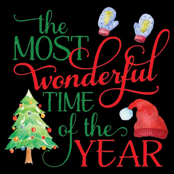 The Most Wonderful Time Of The Year Christmas Wool Snapback Cap