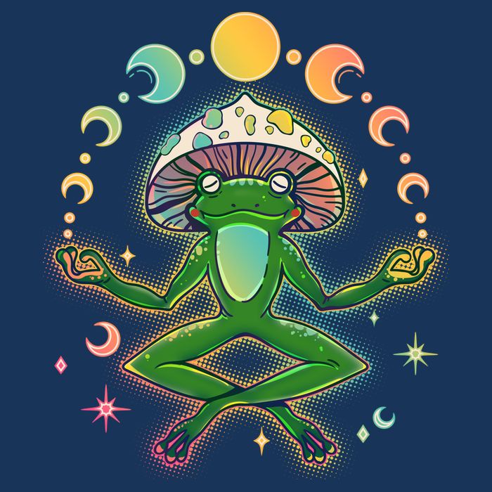 Trippy Meditating Yoga Mushroom Frog Toad 16 in Basic Backpack