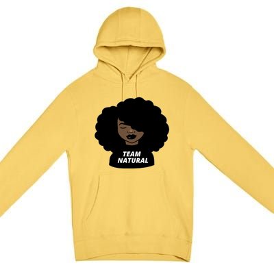 Team Natural Afro Melanin Black History African Gift Premium Pullover Hoodie