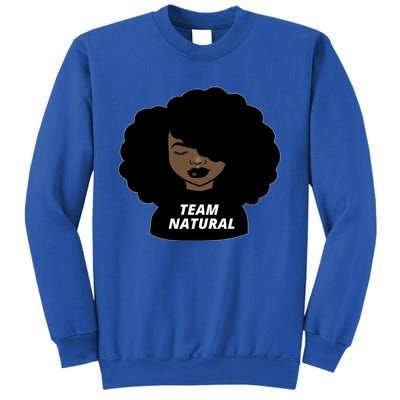 Team Natural Afro Melanin Black History African Gift Sweatshirt