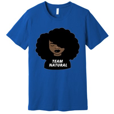 Team Natural Afro Melanin Black History African Gift Premium T-Shirt