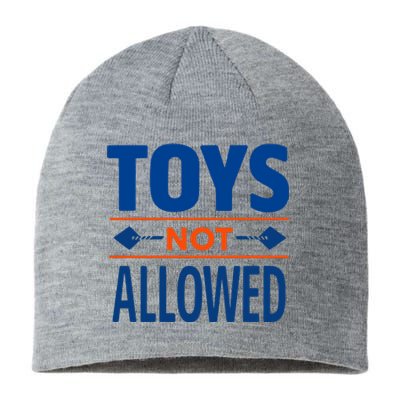 Toys Not Allowed Sustainable Beanie