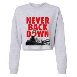 Trump Never Back Down Trump 2024 Cropped Pullover Crew