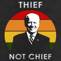 Thief Not Chief Funny Anti Joe Biden Adult Drive Performance Visor
