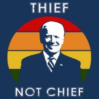 Thief Not Chief Funny Anti Joe Biden Women's V-Neck T-Shirt