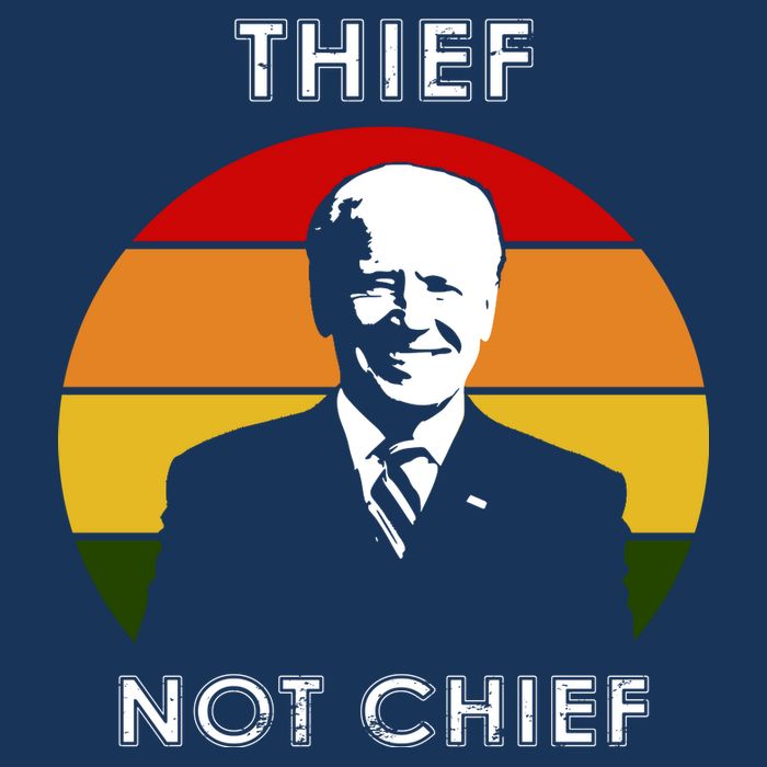 Thief Not Chief Funny Anti Joe Biden Women's V-Neck T-Shirt