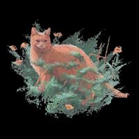 Threadless Nate Christenson Impressionist Cat Sustainable Bucket Hat