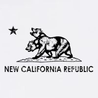 The New California Republic Flag Cosplay Fandom Space Cooling Performance Crew T-Shirt