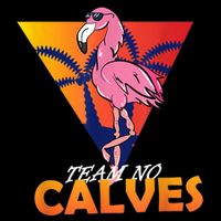 Team No Calves Flamingo Bodybuilding Gym Fitness Training Cooling Performance Crew T-Shirt