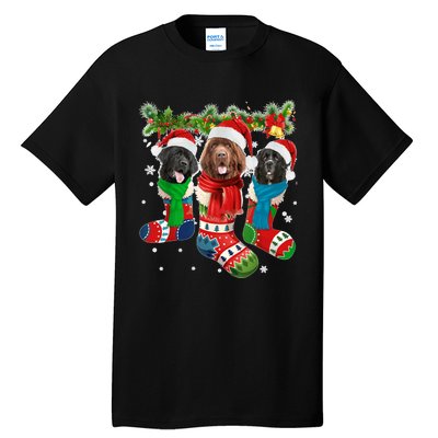 Three Newfoundland Dogs In Christmas Socks Tall T-Shirt