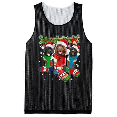 Three Newfoundland Dogs In Christmas Socks Mesh Reversible Basketball Jersey Tank