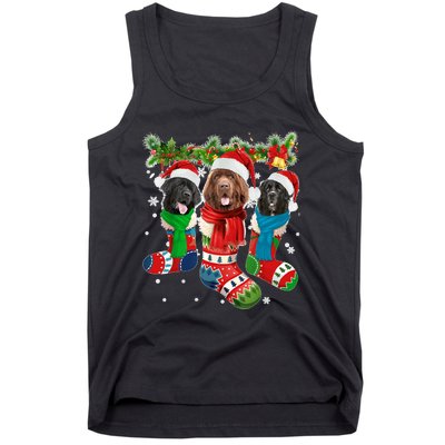 Three Newfoundland Dogs In Christmas Socks Tank Top