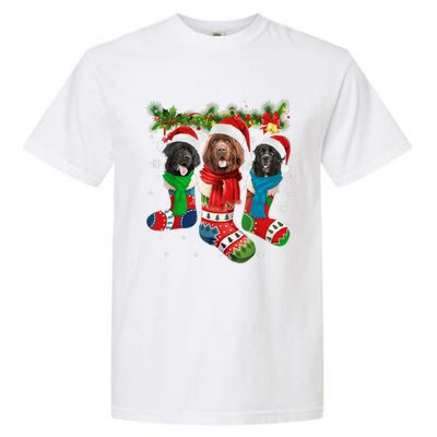 Three Newfoundland Dogs In Christmas Socks Garment-Dyed Heavyweight T-Shirt