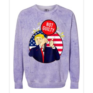 Trump Not Guilty 2024 Free Trump Colorblast Crewneck Sweatshirt