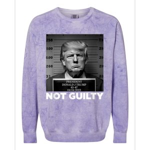 Trump Not Guilty Mug Shot Free Trump I Stand With Trump Colorblast Crewneck Sweatshirt