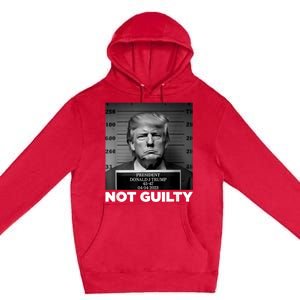 Trump Not Guilty Mug Shot Free Trump I Stand With Trump Premium Pullover Hoodie