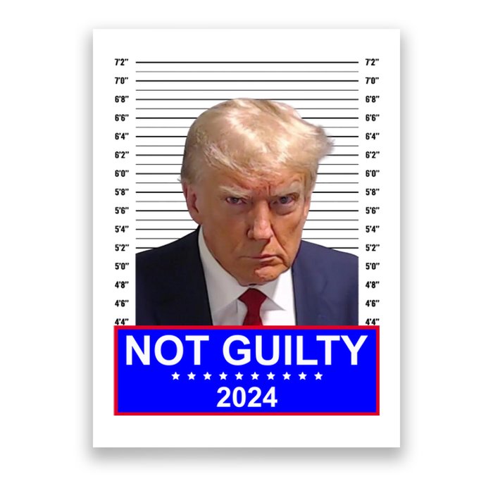 Trump Not Guilty Mugshot 2024 Election Poster