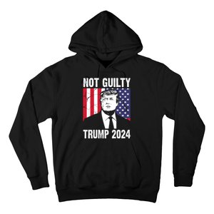 Trump Not Guilty 2024 Free Trump Usa Election Hoodie