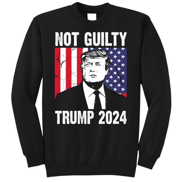 Trump Not Guilty 2024 Free Trump Usa Election Sweatshirt