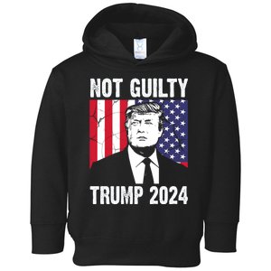 Trump Not Guilty 2024 Free Trump Usa Election Toddler Hoodie