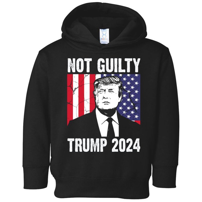 Trump Not Guilty 2024 Free Trump Usa Election Toddler Hoodie