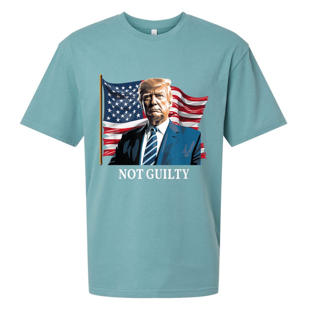 Trump Not Guilty Sueded Cloud Jersey T-Shirt
