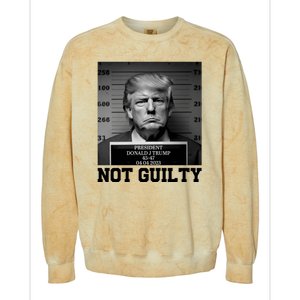 Trump Not Guilty Free Trump Colorblast Crewneck Sweatshirt