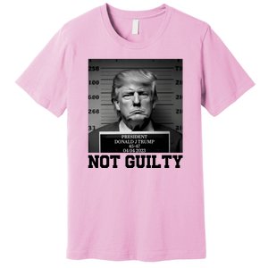 Trump Not Guilty Free Trump Premium T-Shirt