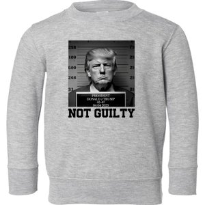 Trump Not Guilty Free Trump Toddler Sweatshirt