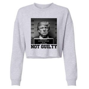 Trump Not Guilty Free Trump Cropped Pullover Crew