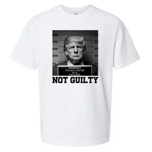 Trump Not Guilty Free Trump Sueded Cloud Jersey T-Shirt