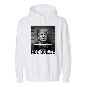 Trump Not Guilty Free Trump Garment-Dyed Fleece Hoodie