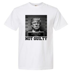 Trump Not Guilty Free Trump Garment-Dyed Heavyweight T-Shirt