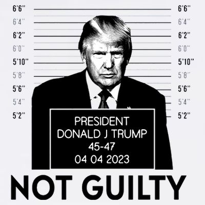 Trump Not Guilty T-Shirt