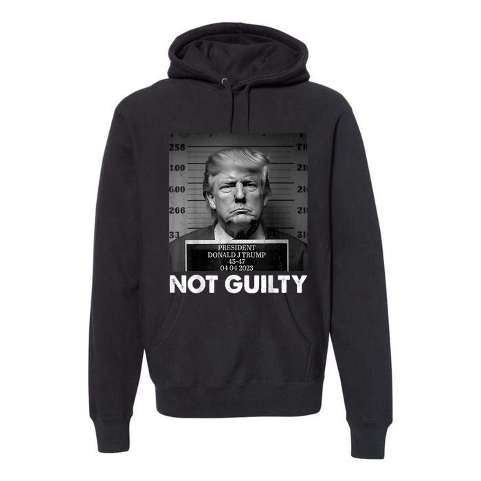 Trump Not Guilty 2024 Free Trump Republican Support Trump Premium Hoodie