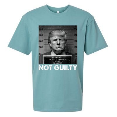 Trump Not Guilty 2024 Free Trump Republican Support Trump Sueded Cloud Jersey T-Shirt