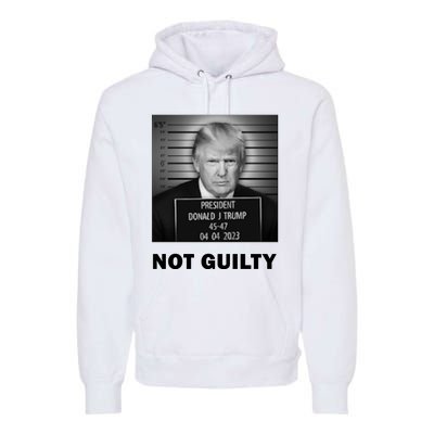 Trump Not Guilty Premium Hoodie