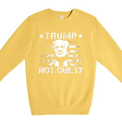 Trump Not Guilty Pro Trump Supporter American Flag Premium Crewneck Sweatshirt