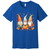 Thanksgiving Nurse Great Gift Cozy Holiday Medical Gnome Great Gift Premium T-Shirt