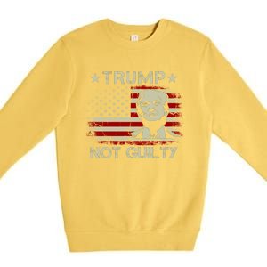 Trump Not Guilty, Free Trump, Pro Trump Supporter American Flag Premium Crewneck Sweatshirt