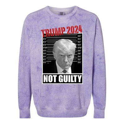 Trump Not Guilty Tee Support Donald Trump 2024 Mug Shot Colorblast Crewneck Sweatshirt