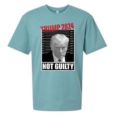 Trump Not Guilty Tee Support Donald Trump 2024 Mug Shot Sueded Cloud Jersey T-Shirt