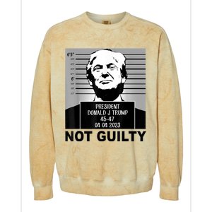 Trump Not Guilty Campaign Mughot White Tee Colorblast Crewneck Sweatshirt