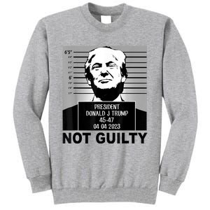 Trump Not Guilty Campaign Mughot White Tee Tall Sweatshirt