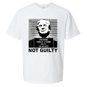 Trump Not Guilty Campaign Mughot White Tee Sueded Cloud Jersey T-Shirt