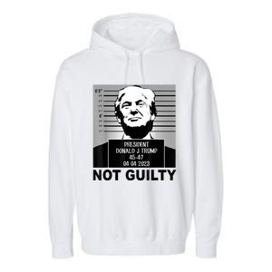 Trump Not Guilty Campaign Mughot White Tee Garment-Dyed Fleece Hoodie