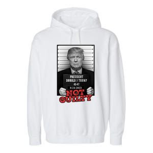 Trump not guilty Trump 2024 Mugshot Garment-Dyed Fleece Hoodie